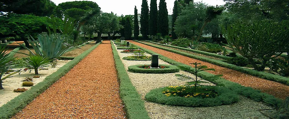 Jardinería Riojana Plantas de temporada